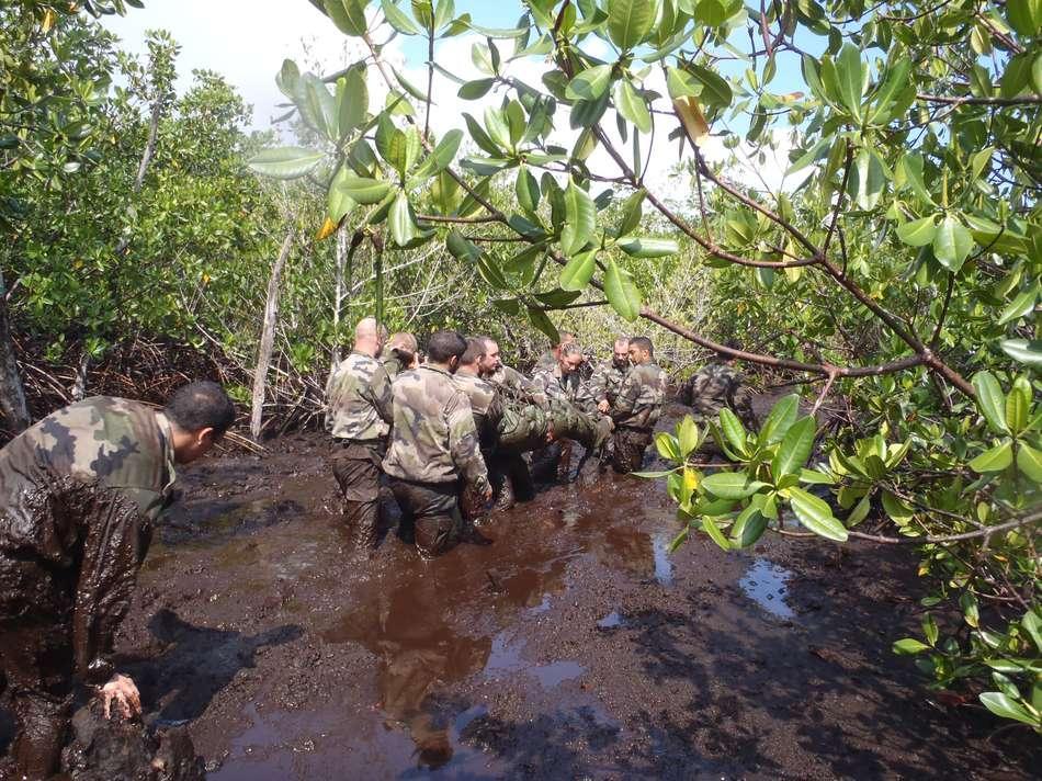 Entraînement dans la mangrove pour la brigade de protection du TCD Siroco