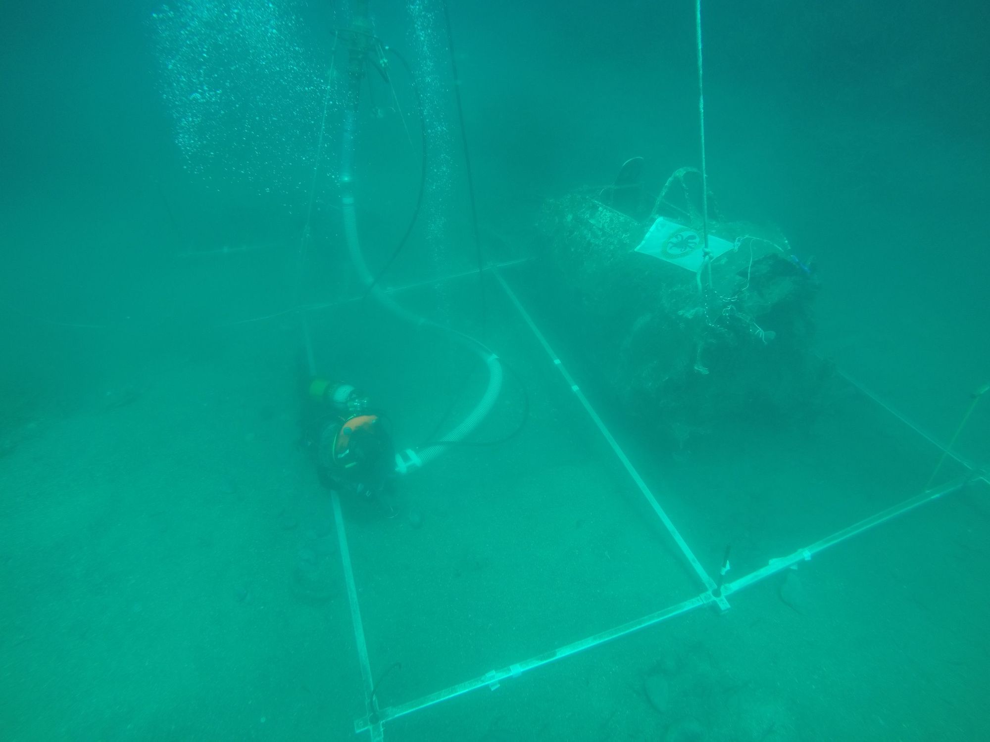 Les plongeurs recherchent des restes humains ou d’objets permettant l’identification des pilotes américains