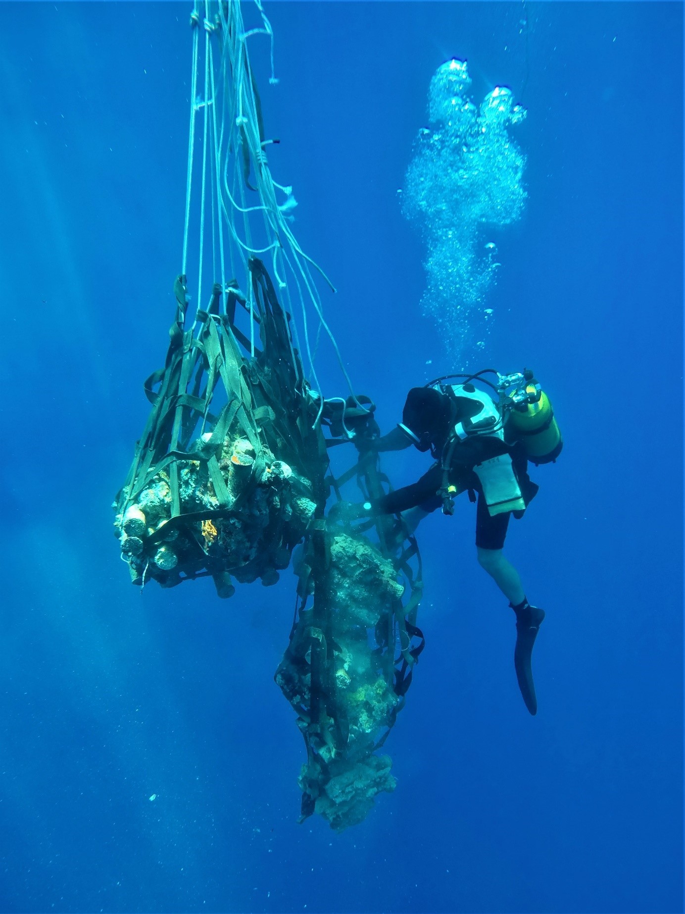 Les plongeurs-démineurs de Nouvelle Calédonie neutralisent une munition de la 2è Guerre Mondiale
