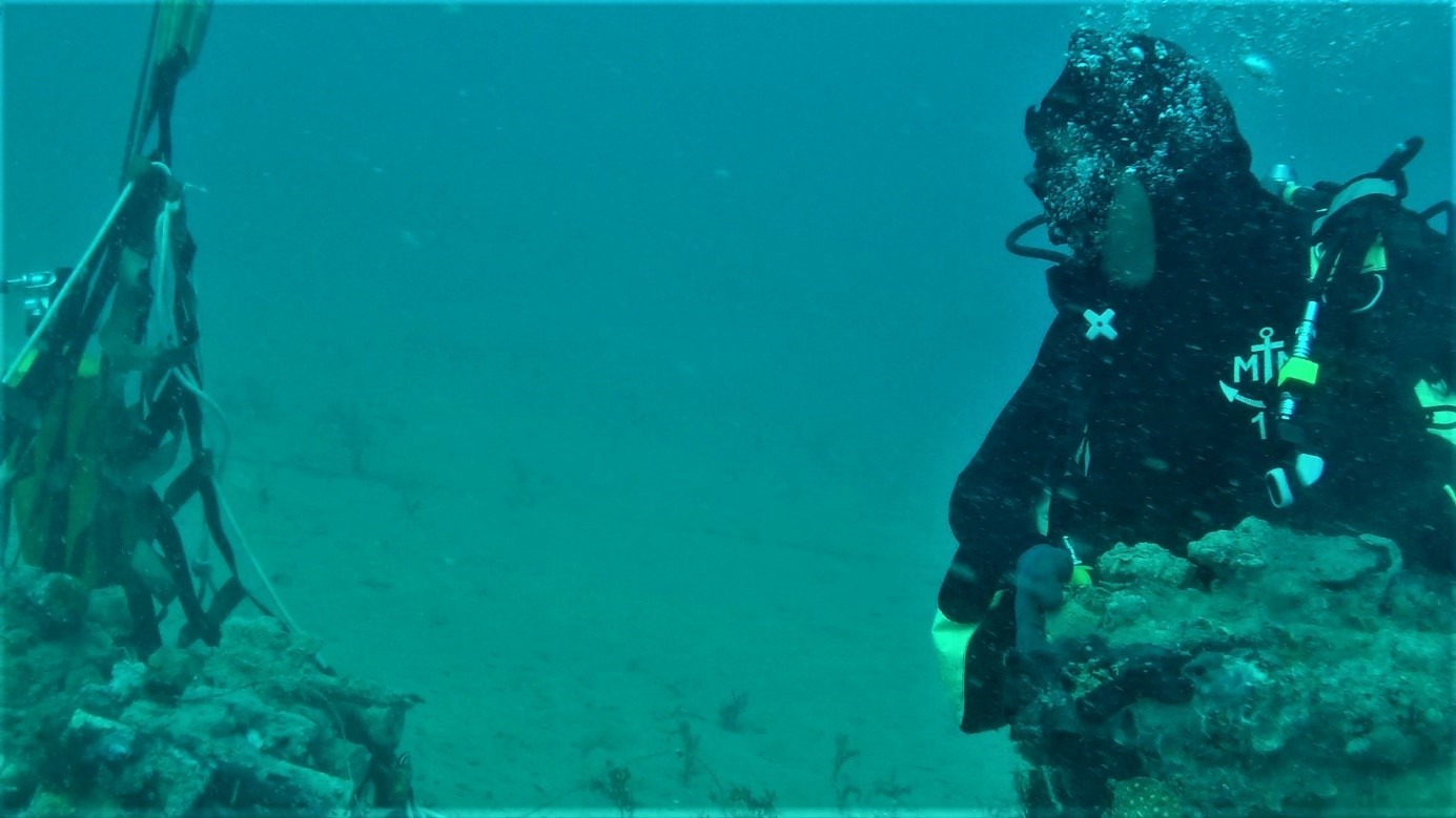Les plongeurs-démineurs de Nouvelle Calédonie neutralisent une munition de la 2è Guerre Mondiale