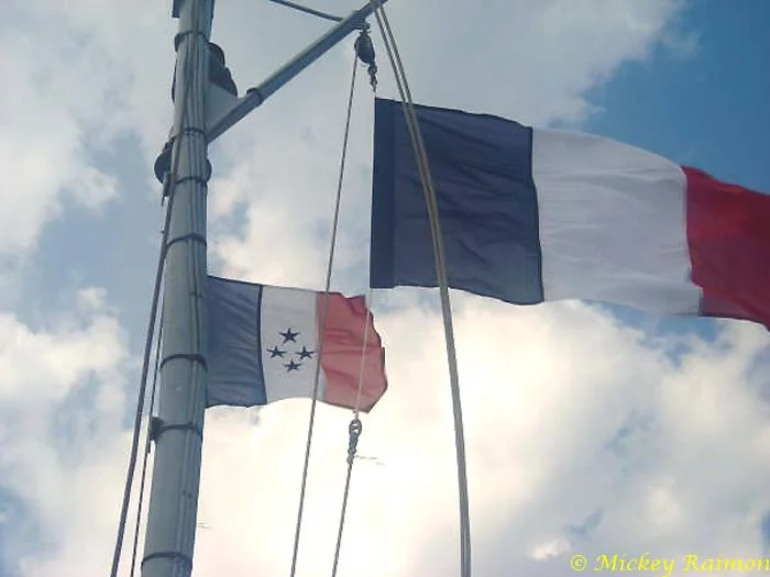 La marque de l'amiral commandant la FAN