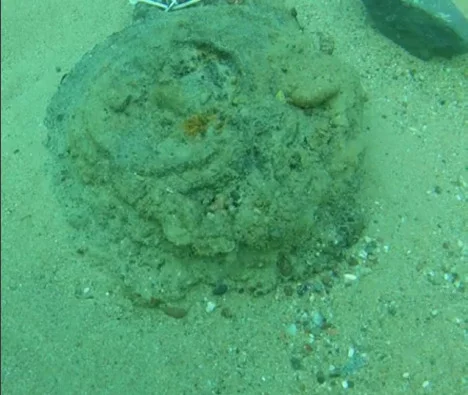 Mine anti-char allemande type Tellermine 43