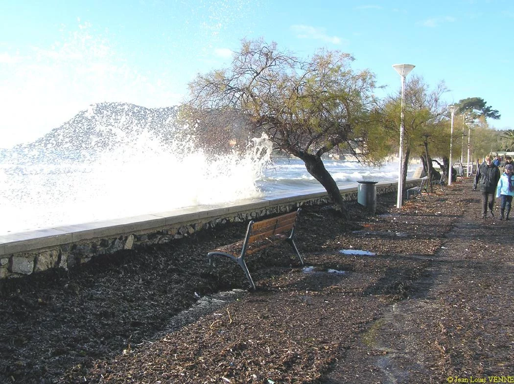 Les vagues se brisent sur le mur de protection