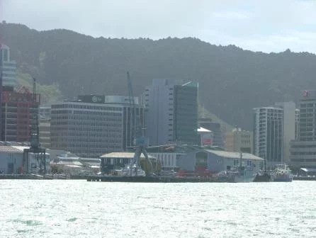 La Moqueuse au pays des Kiwis