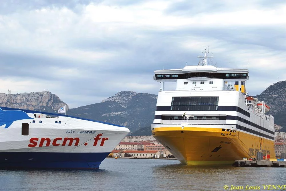 Le Liamone sort de bassin