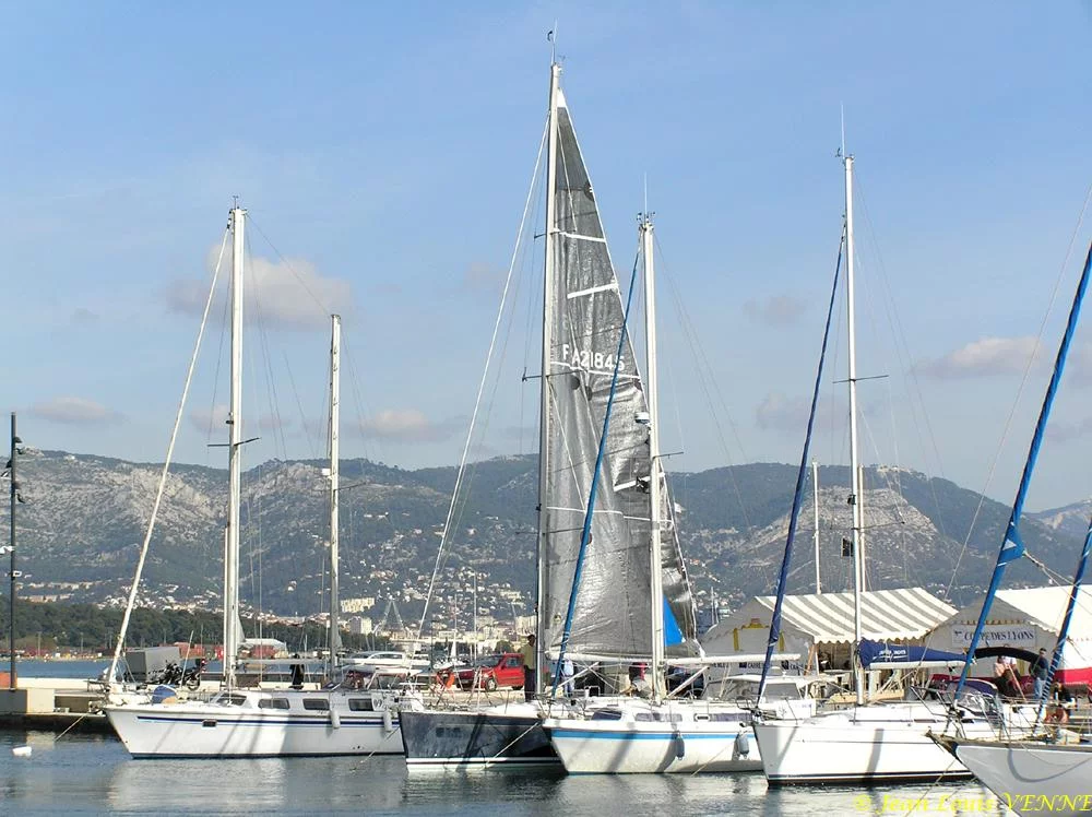 Coupe des Lyons 2008