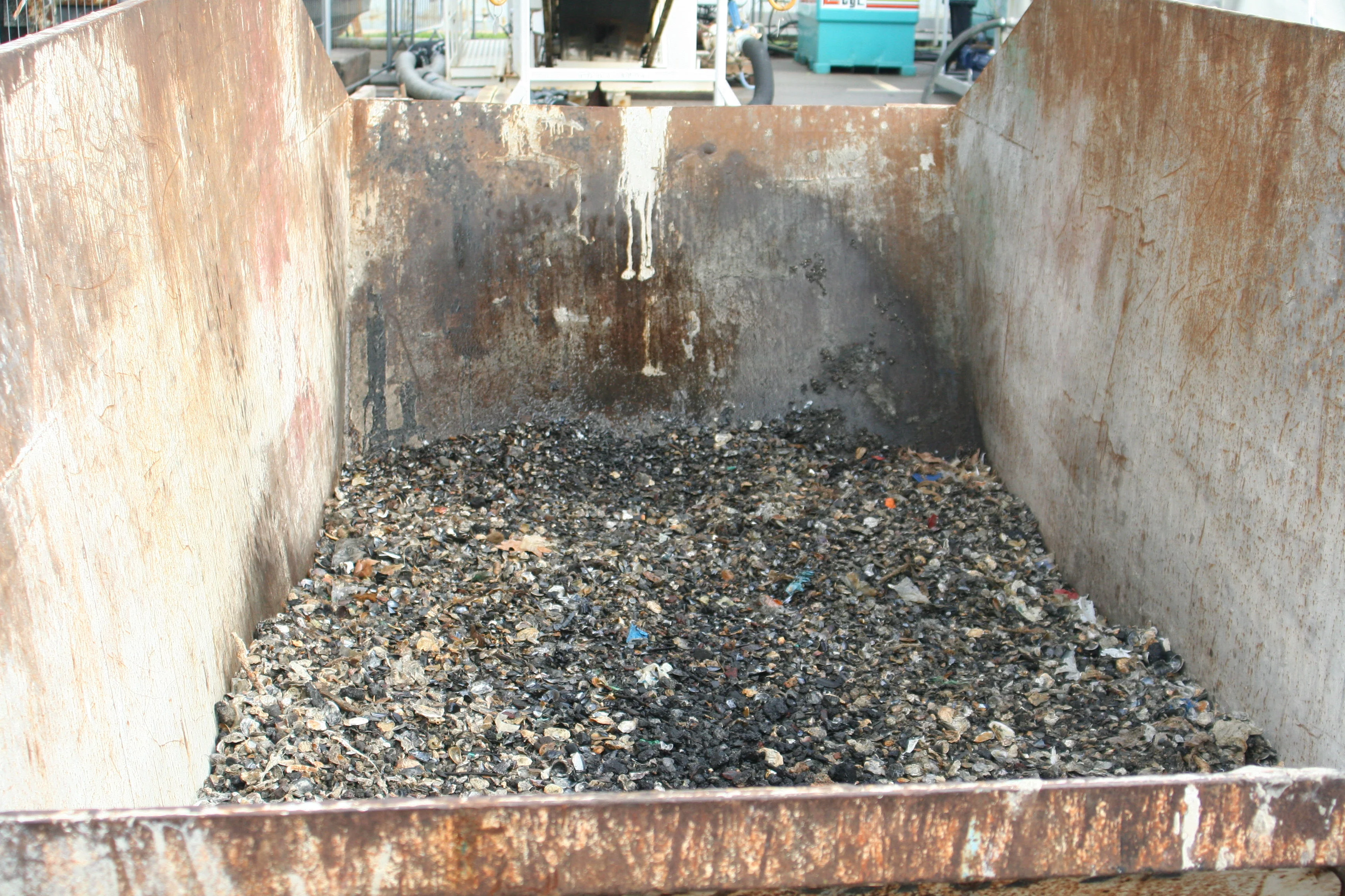 La suceuse aspire de nombreux coquillages ou morceaux de charbon