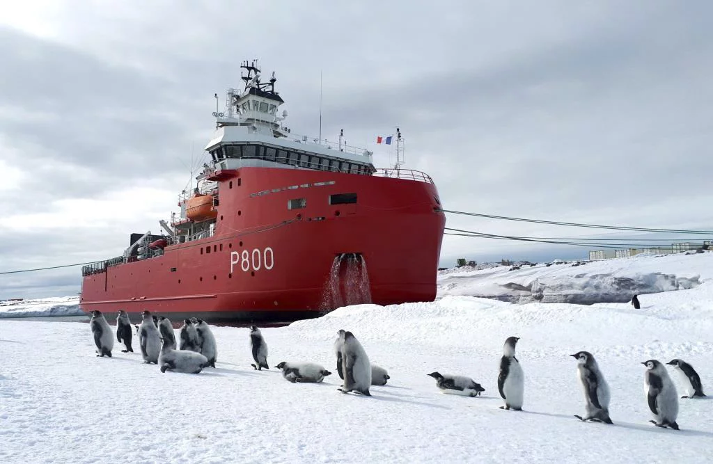 Le patrouilleur polaire L’Astrolabe accosté à la banquise