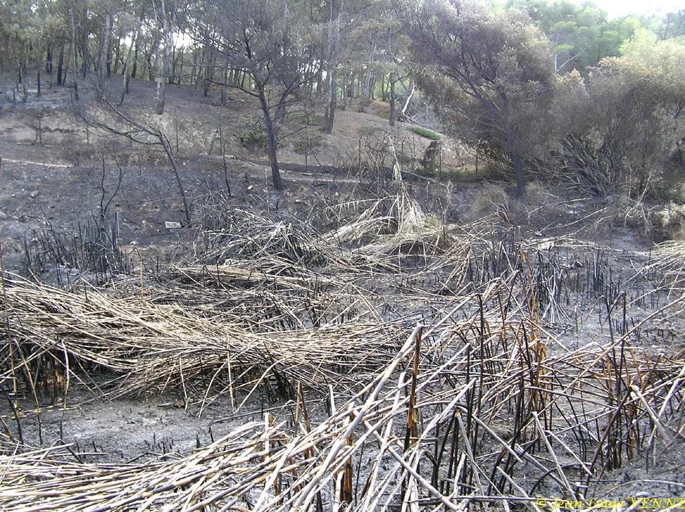 Les dégâts provoqués par l'incendie au CIN St Mandrier