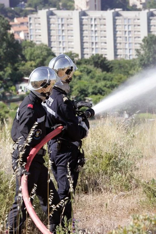 Entraînement des marins-pompiers de Marseille à la lutte contre les feux de forêt