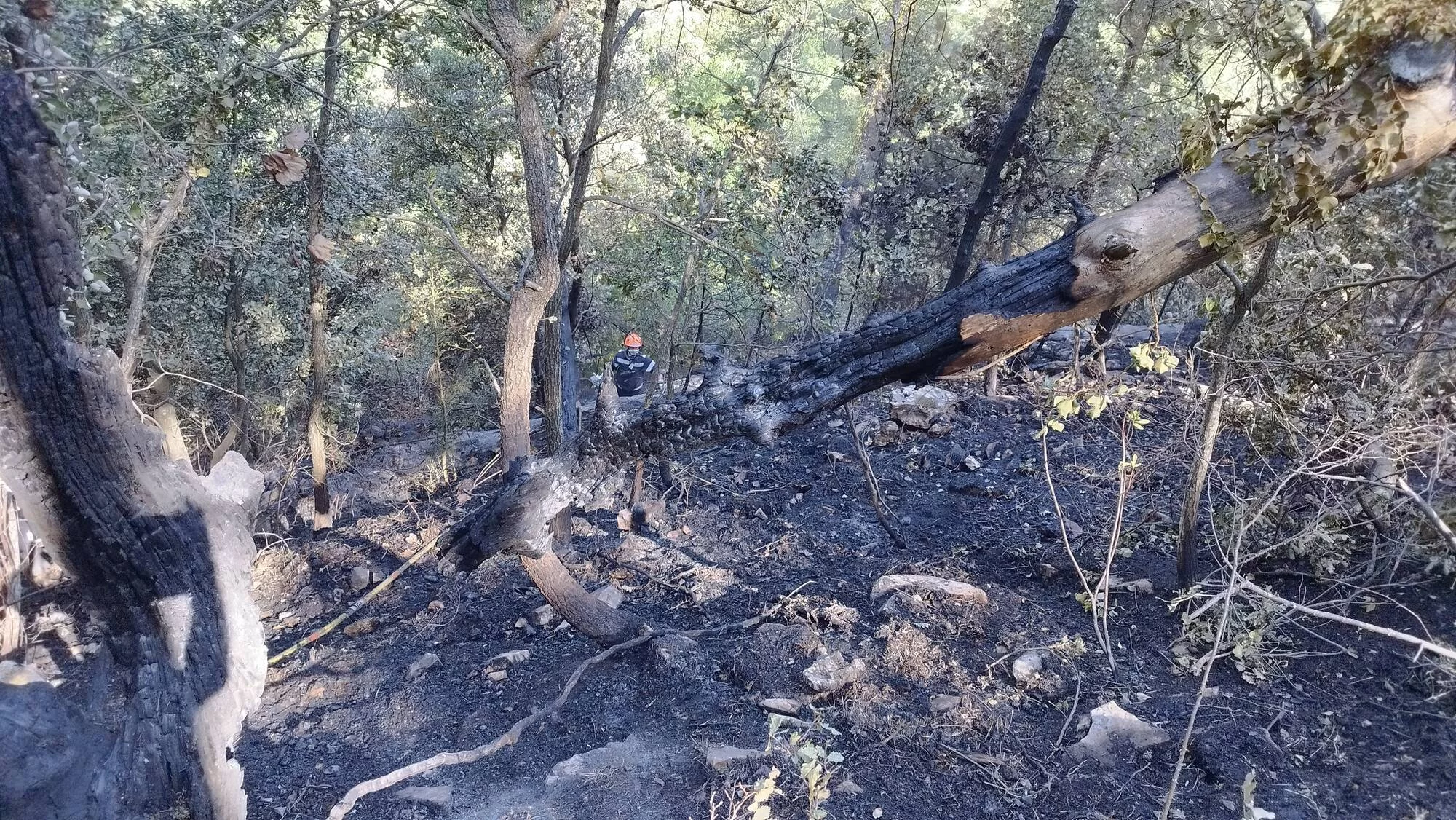 Des marins-pompiers de Marseille en renfort pour éteindre un incendie dans les Alpes Maritimes