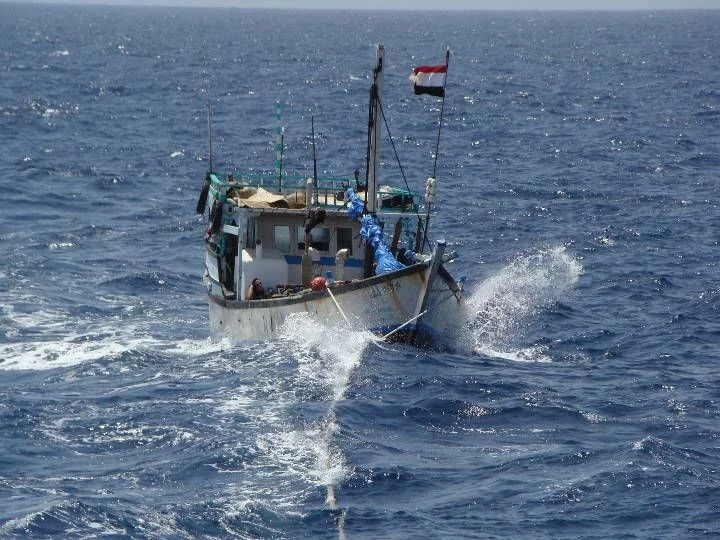 Le dhow Mahara à la remorque du Guépratte
