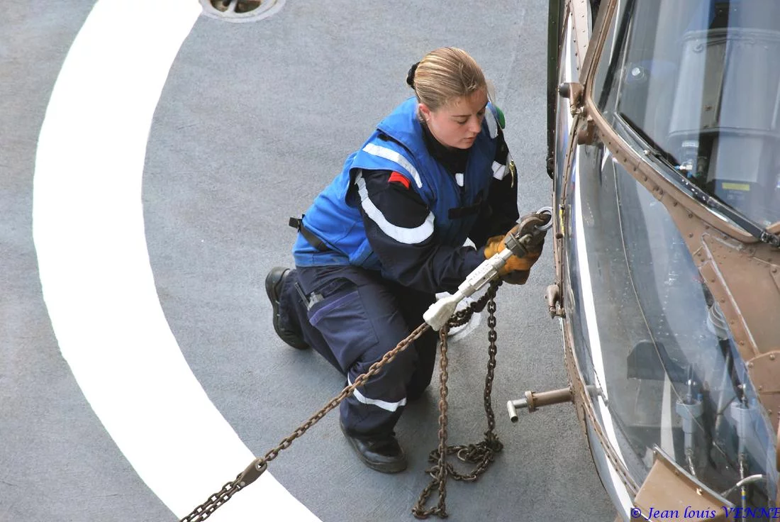 Préparation d'un Puma