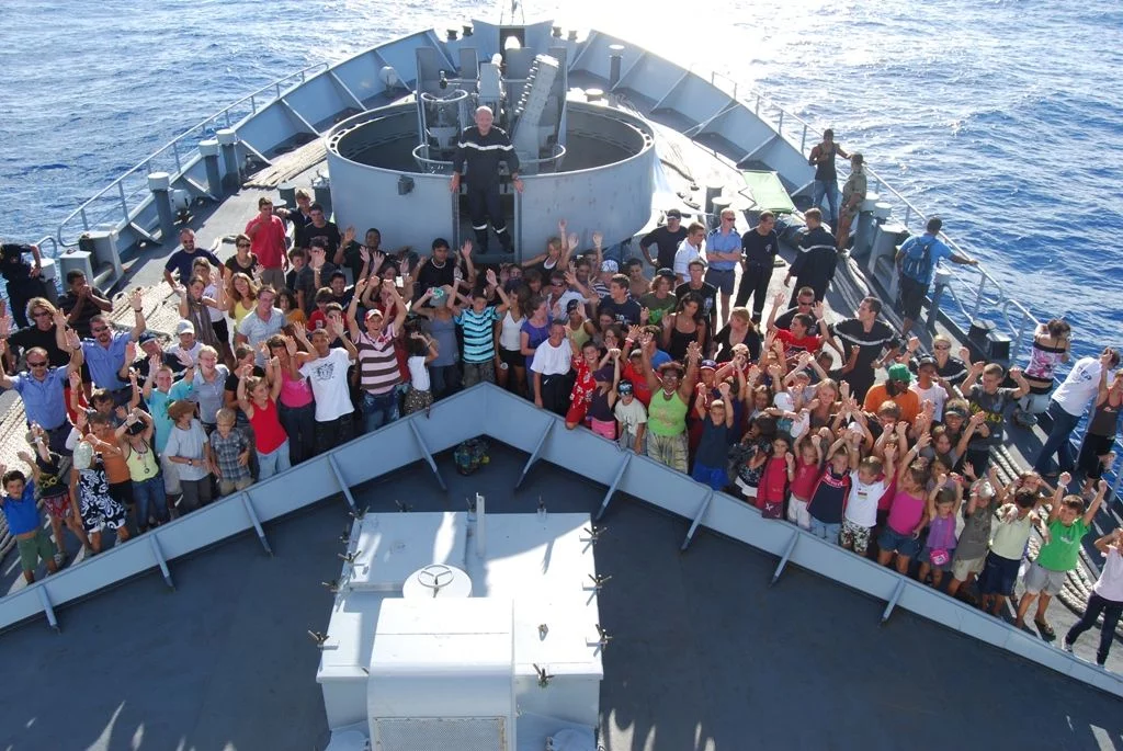 Des poussins sous les ailes