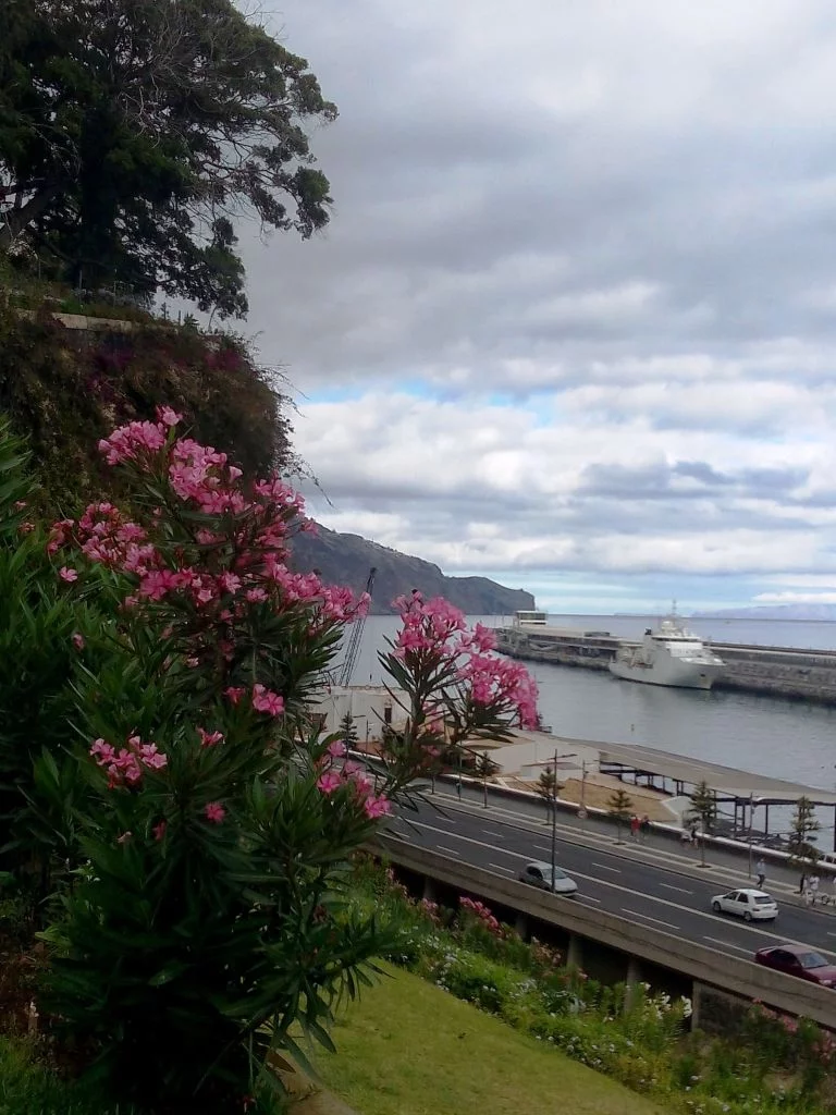 Le “Beautemps-Beaupré” accosté dans le port de Madère