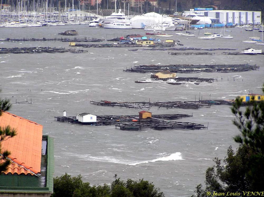 La tempête n’épargne pas le Var