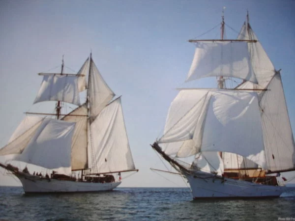 Les goélettes de la Marine Nationale