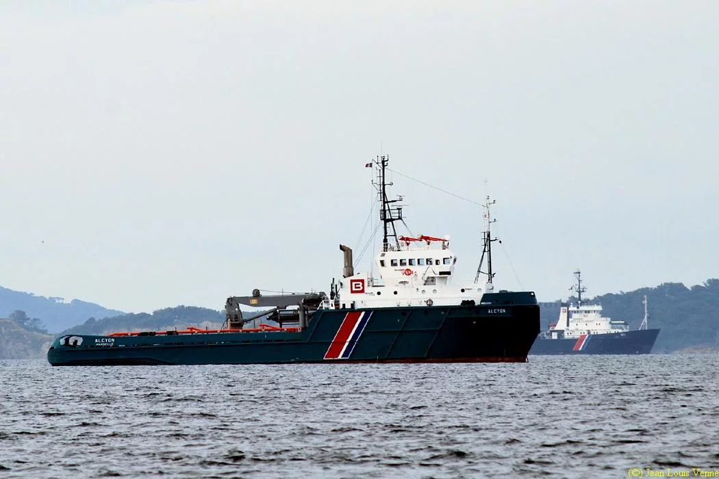 L'Alcyon et l'Abeille Flandre