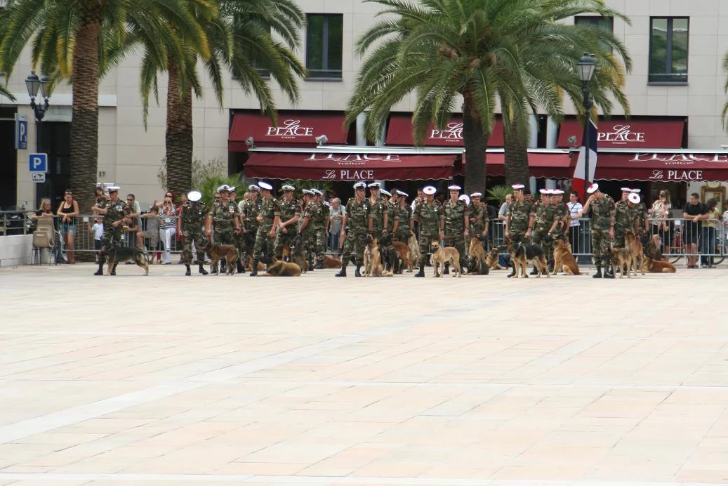 La brigade cynophile