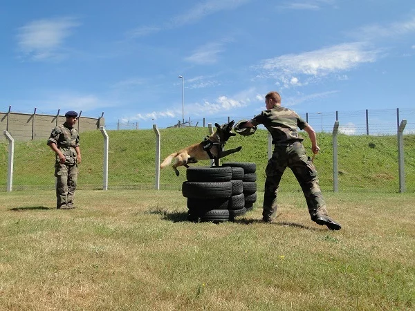 Entraînement de mordant en manchette