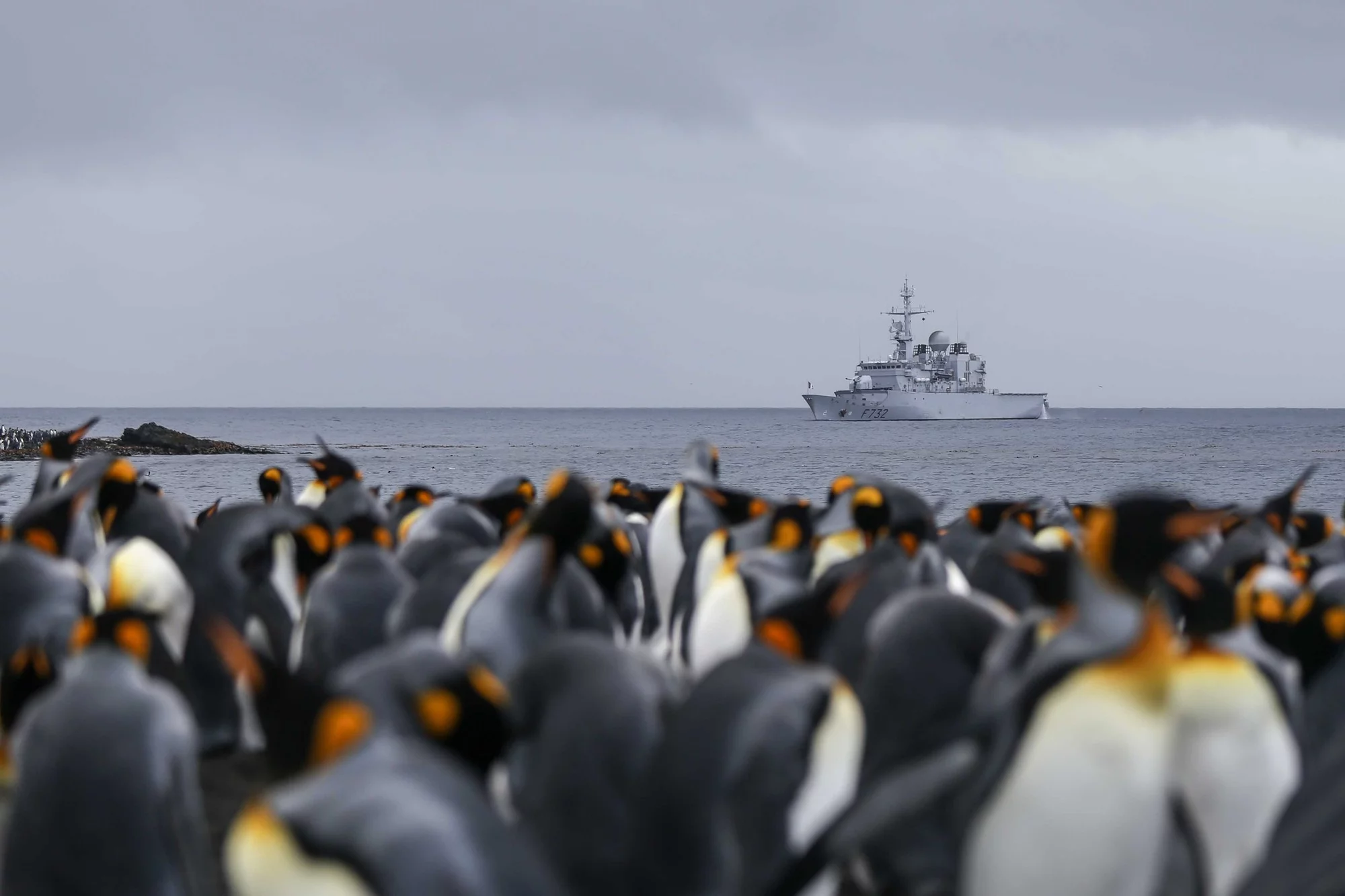 La frégate Nivôse fait escale dans l’archipel de Crozet