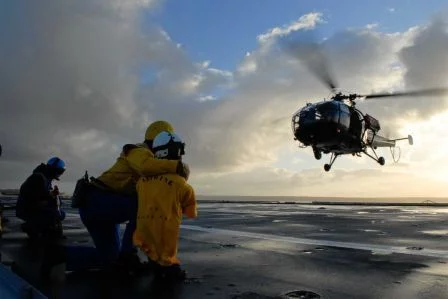 Le plus jeune chien jaune de tous les temps à bord de la Jeanne d’Arc