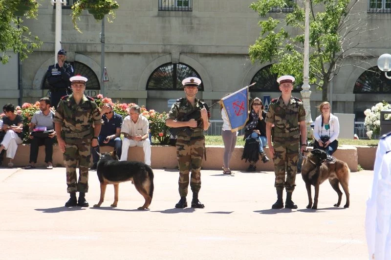 Le fanion du groupement des fusiliers-marins de Toulon