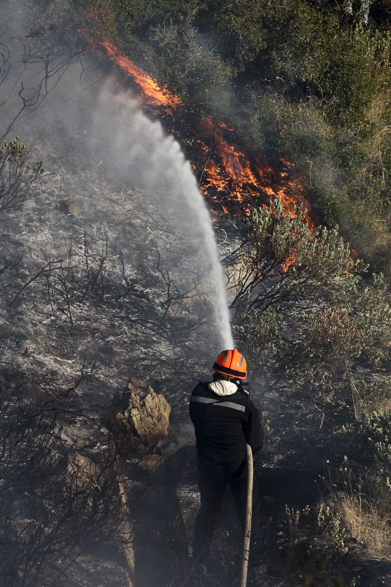 Incendie dans un espace naturel à Marseille