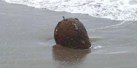 Une mine d'origine inconnue découverte sur les côtes de la mer Noire