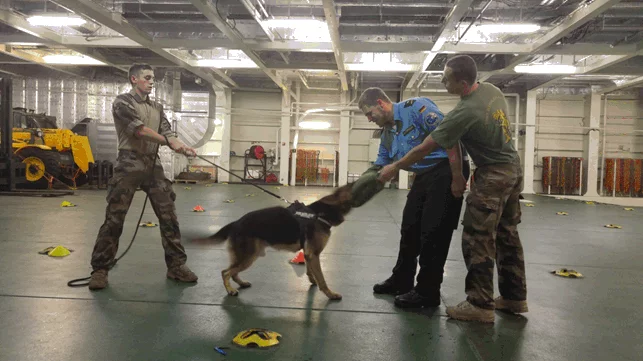 Des élèves-officiers allemands à bord du Dixmude