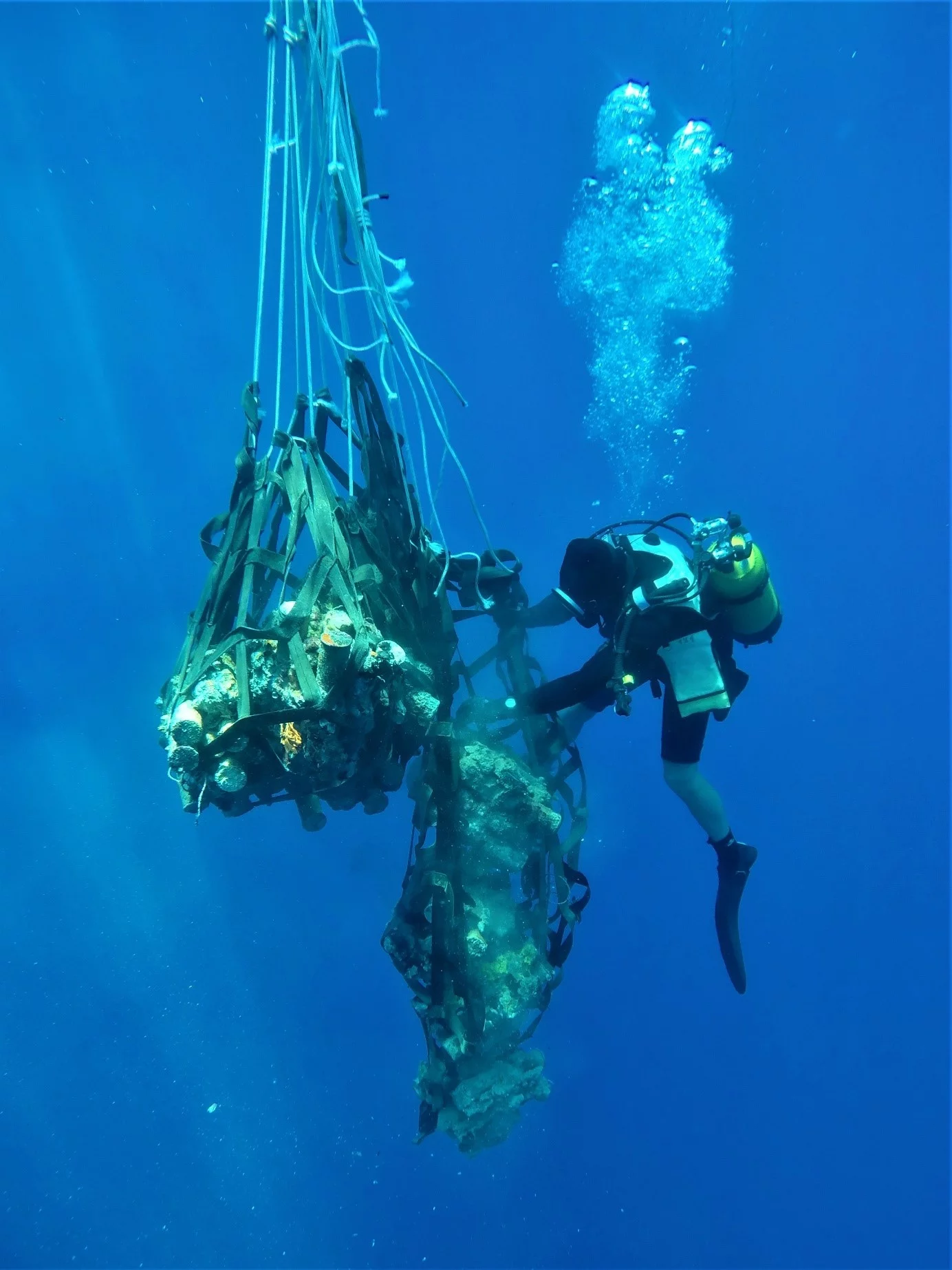 Les plongeurs-démineurs de Nouvelle Calédonie neutralisent une munition de la 2è Guerre Mondiale