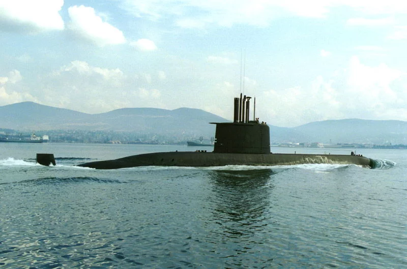 Le premier U-209 Sud-Africain