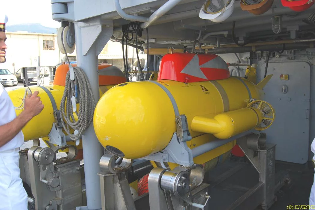 Poisson autopropulsé