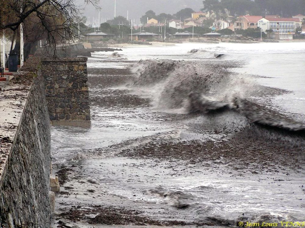 Des posidonies mortes envahissent la Seyne-sur-Mer