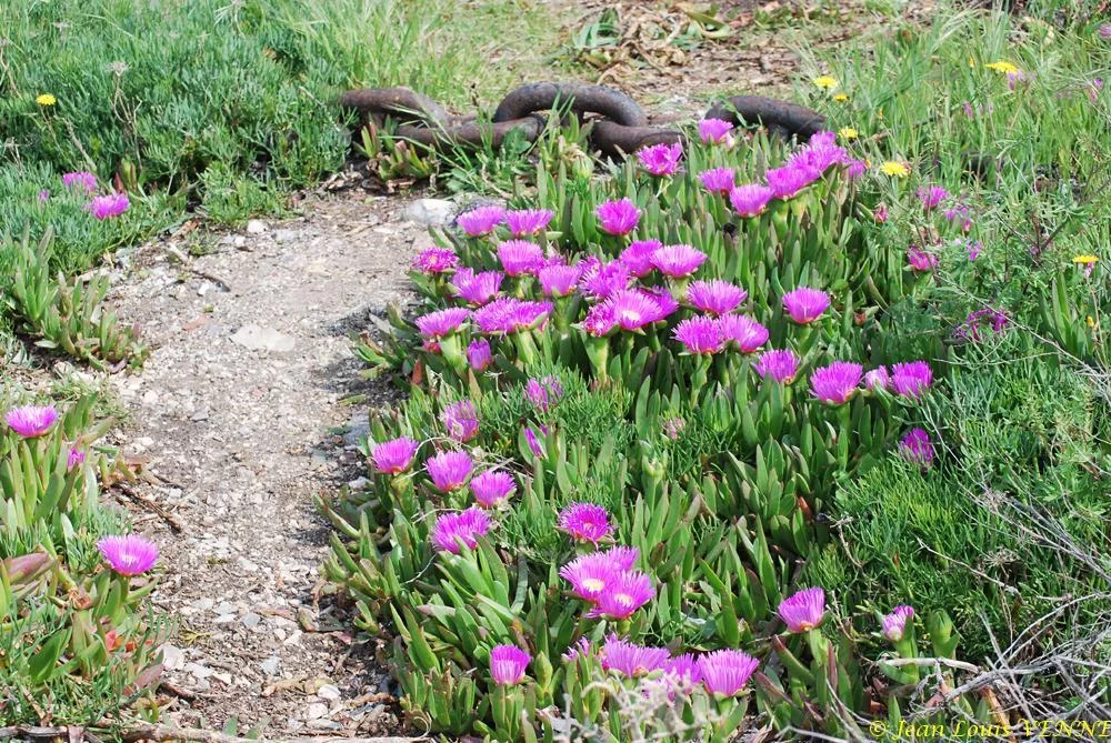 Promenade au parc de la Tour Royale