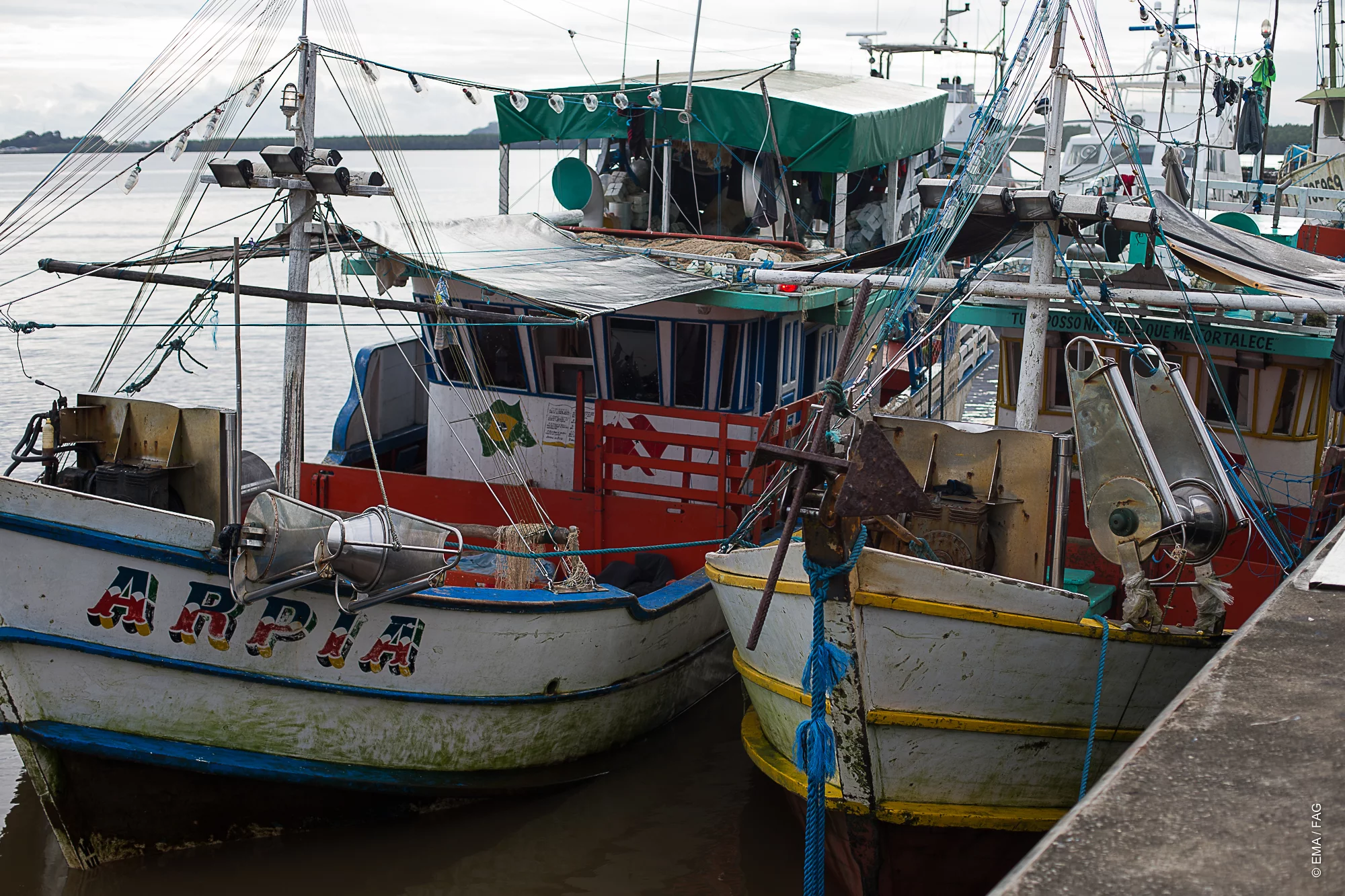 Les 2 tapouilles interceptées