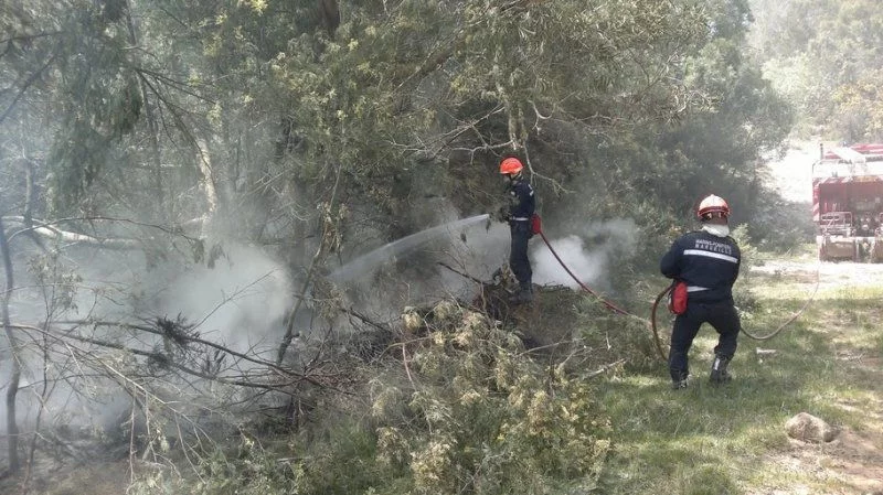 Les marins-pompiers sur l’île de La Réunion, sur un feu de lisière