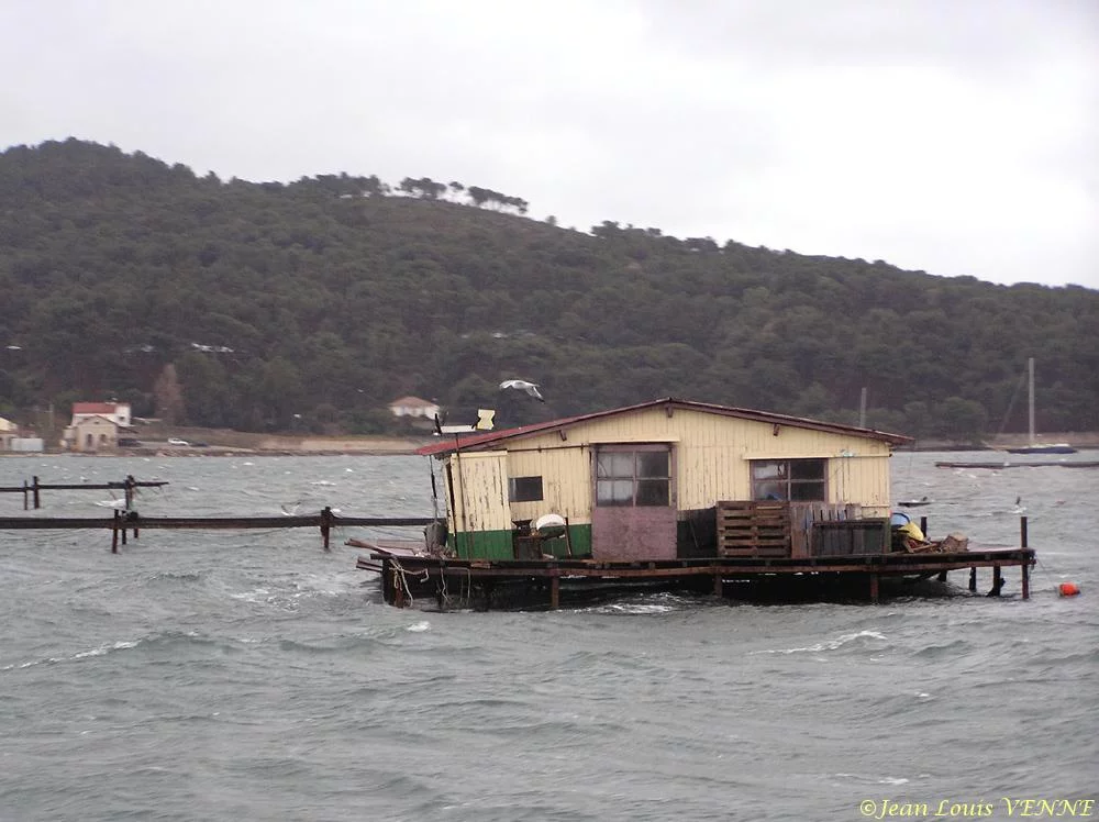 Dans la rade de Toulon