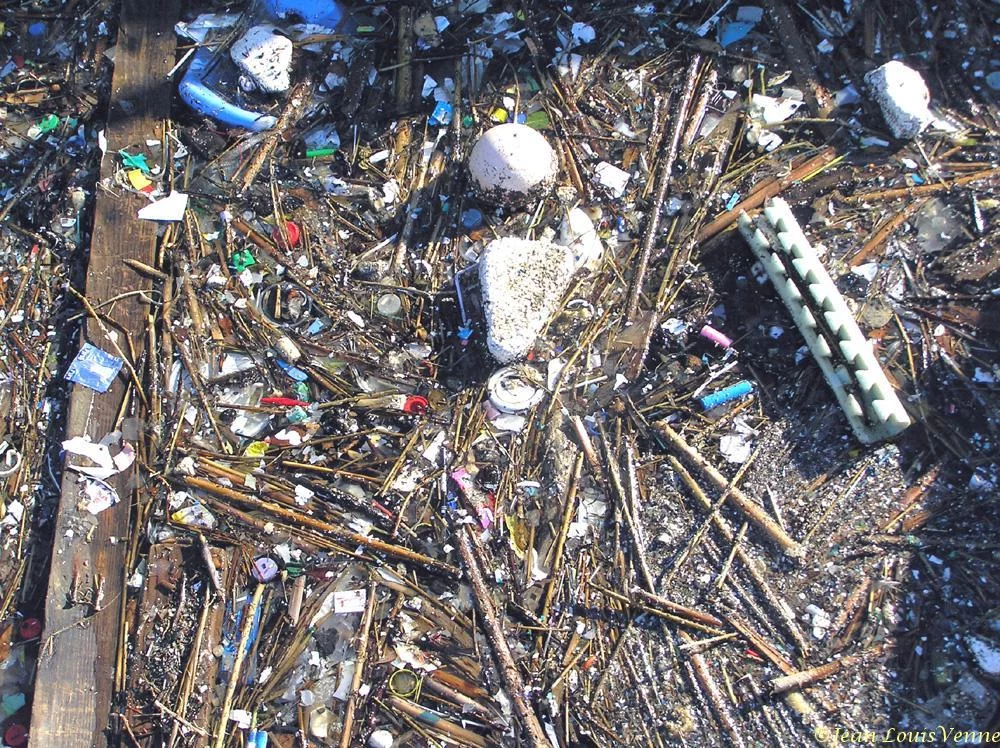 Détritus flottants dans la rade de Toulon