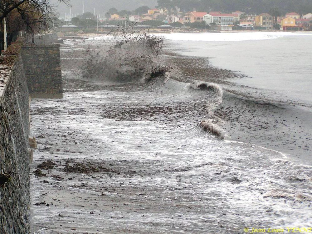 Des posidonies mortes envahissent la Seyne-sur-Mer