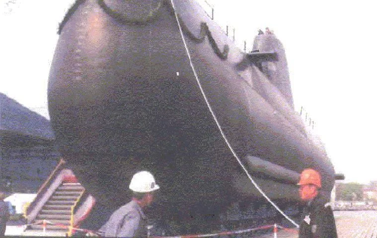 Le U-214 Papanikolis