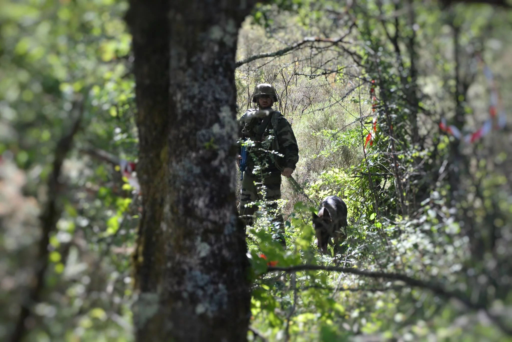 3e édition du challenge inter-unités de fusiliers marins