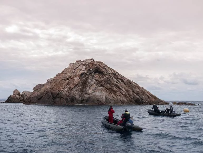 Les plongeurs-démineurs devant le rocher de la Vacca