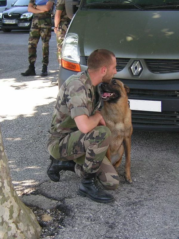 Un binôme indissociable, le maître et son chien